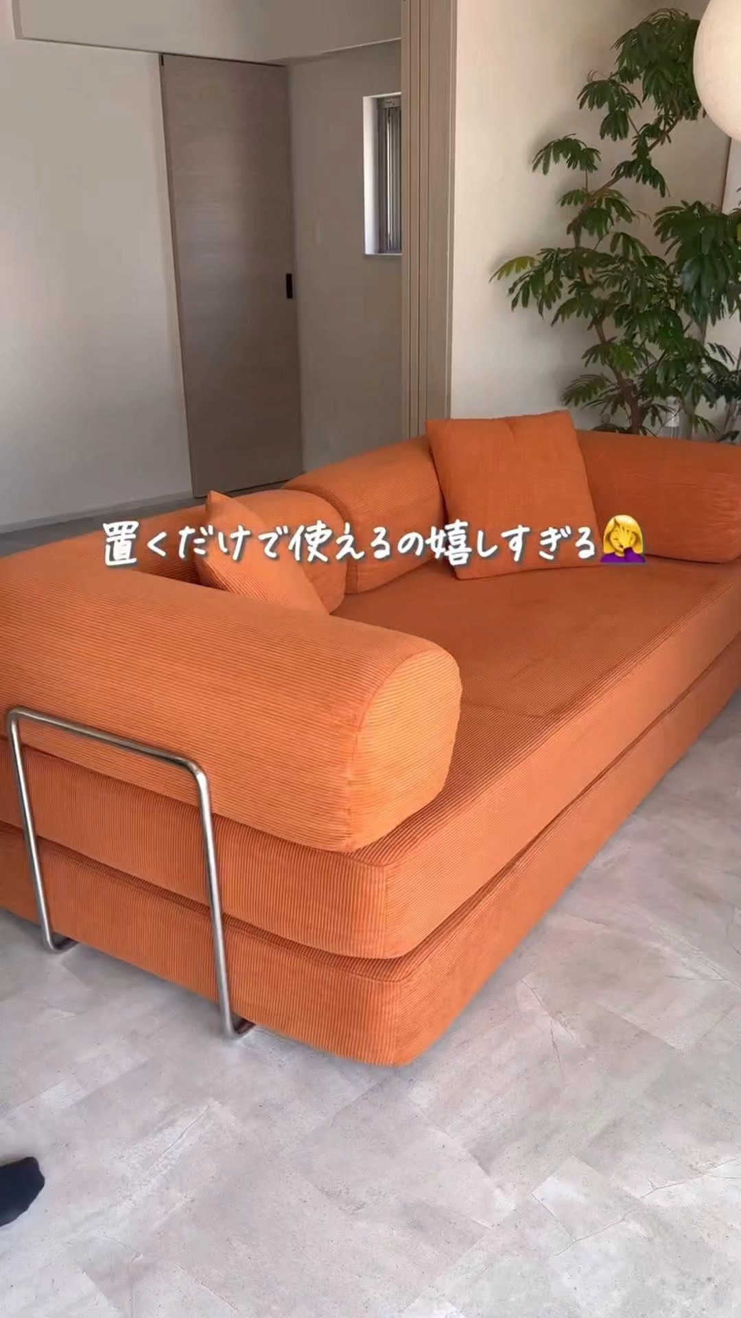 视频