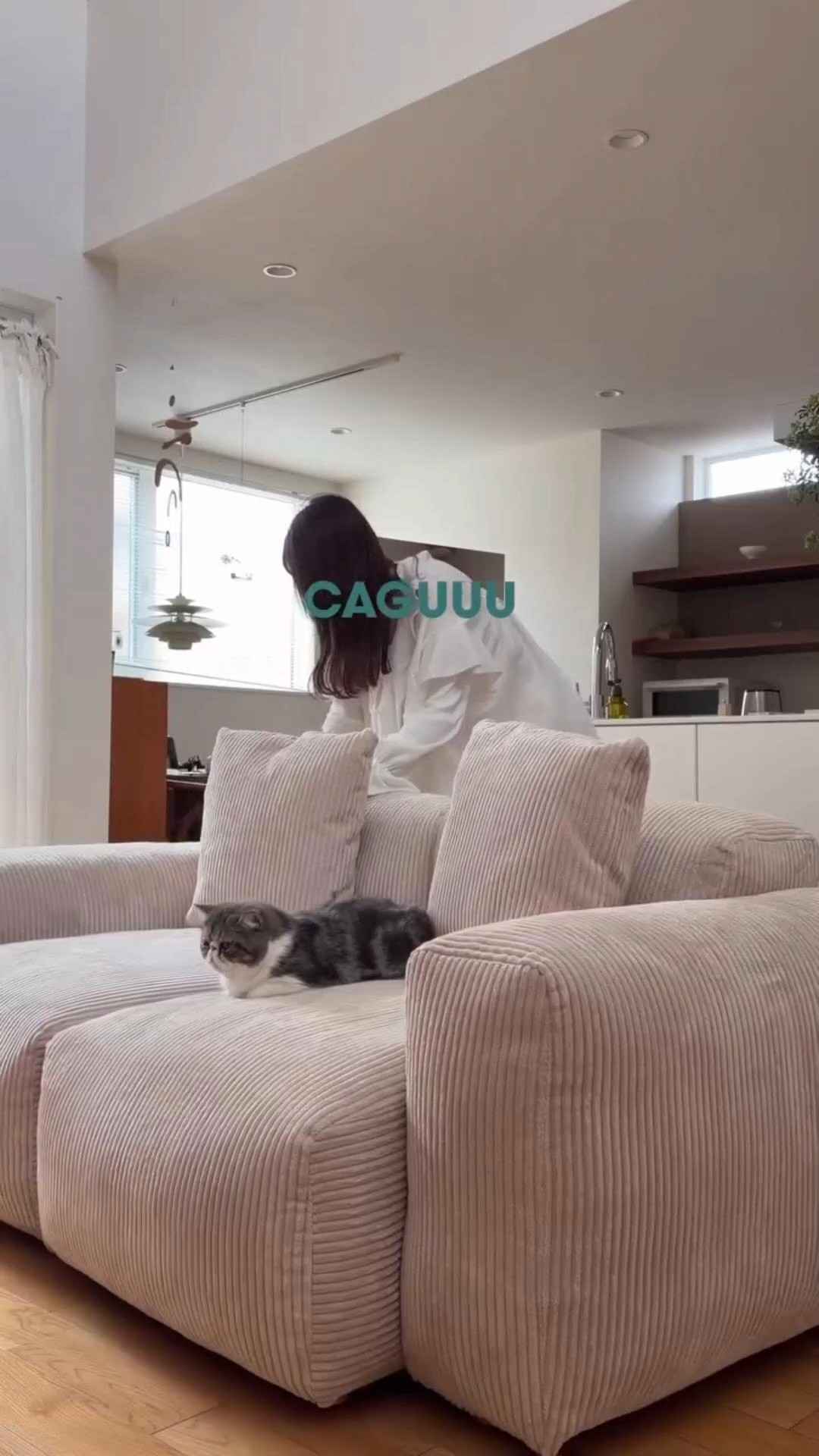 视频