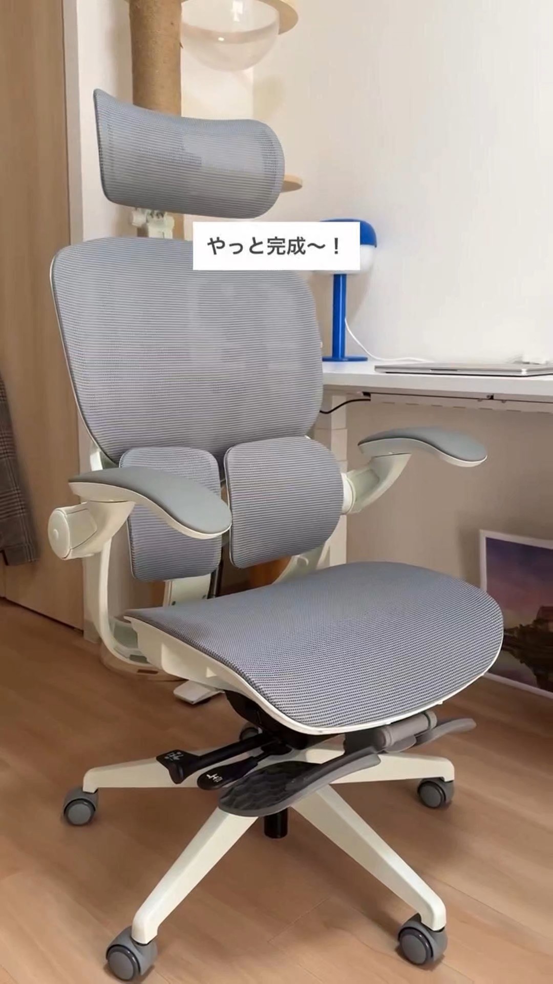 视频