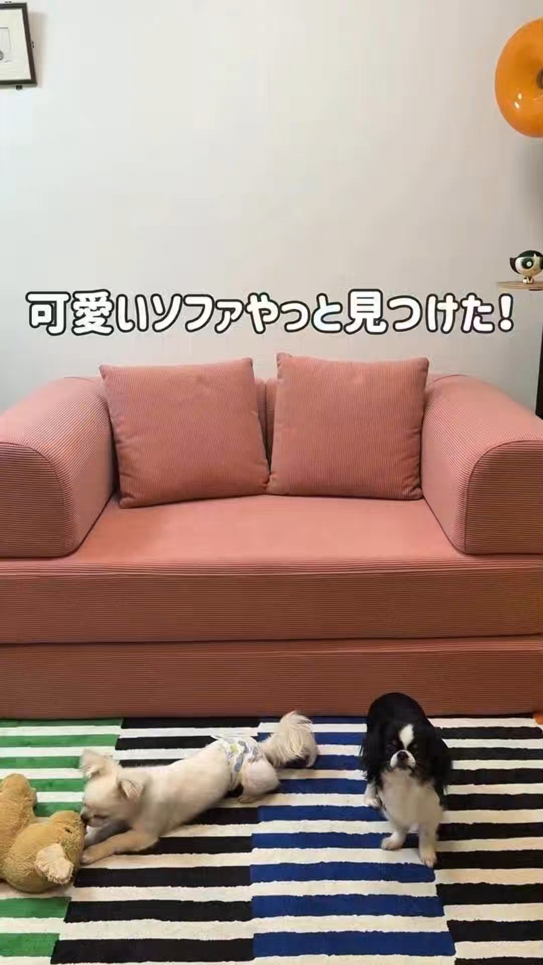 视频