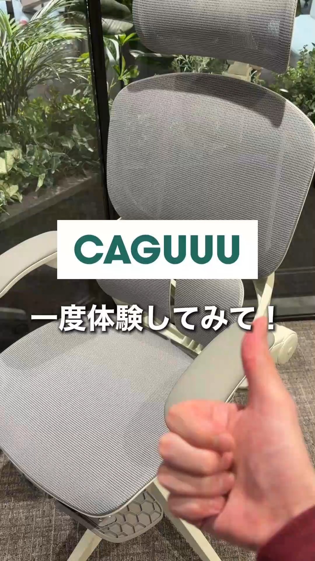 视频
