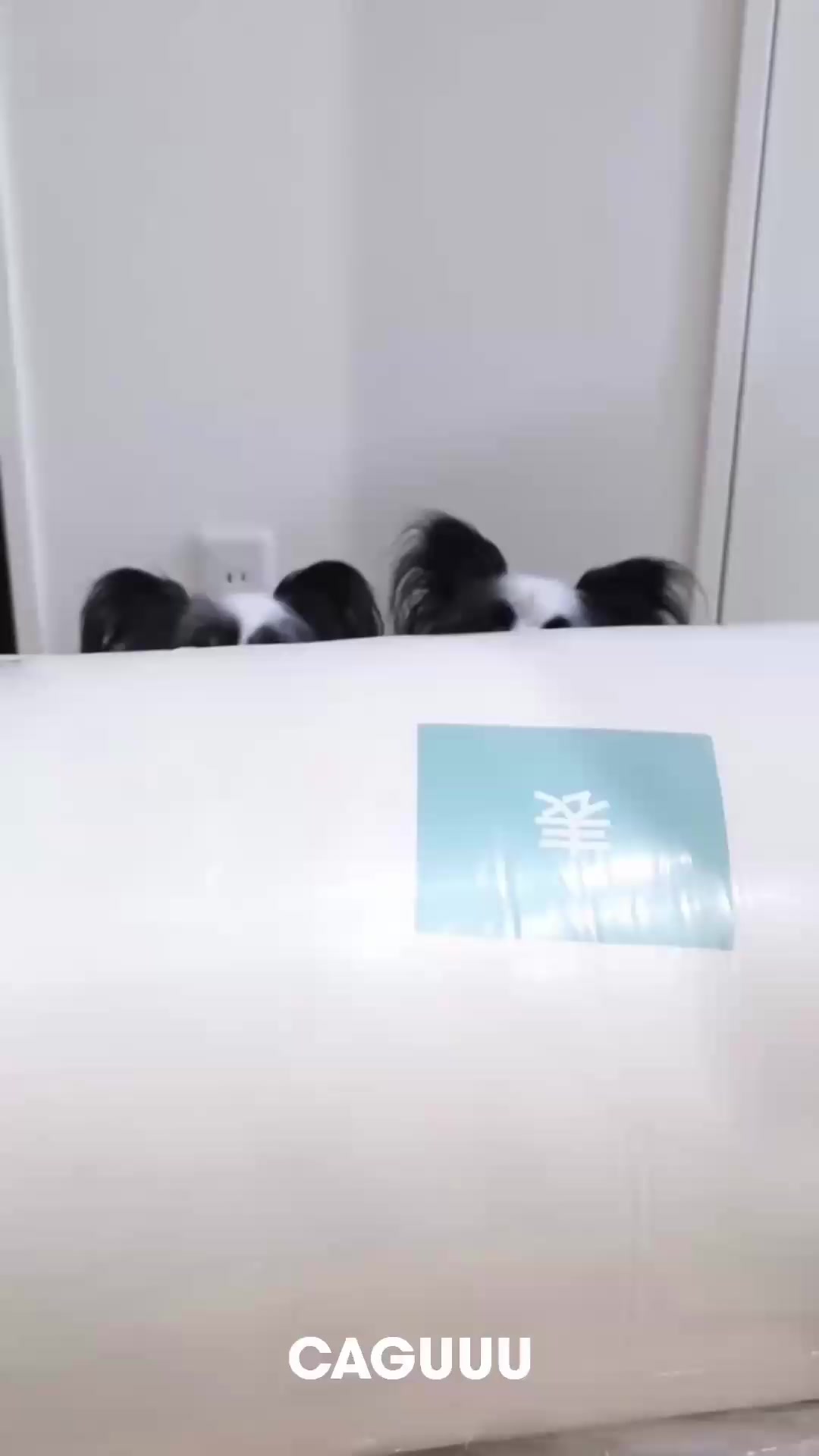 Photo wall video preview