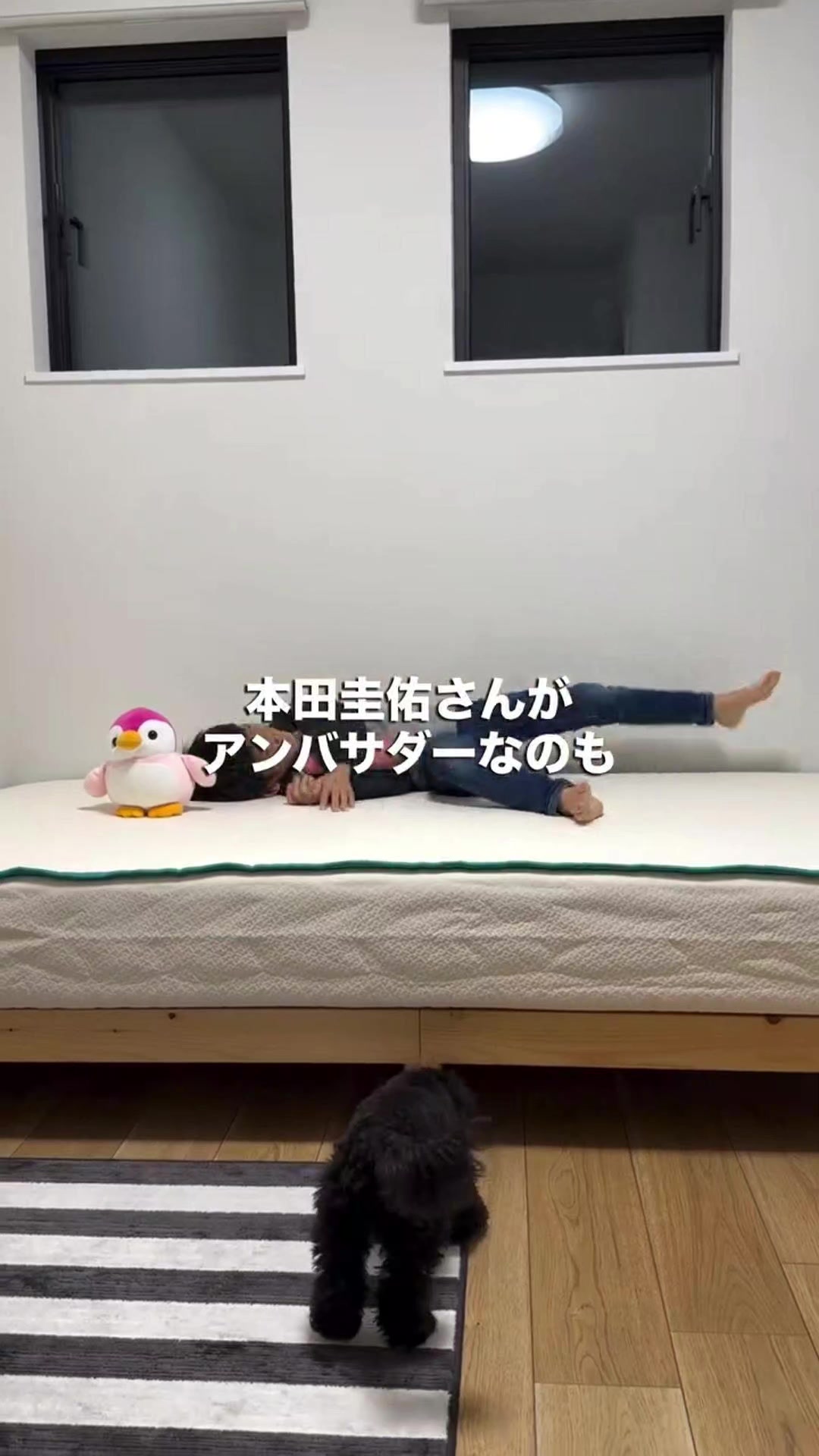 Photo wall video preview